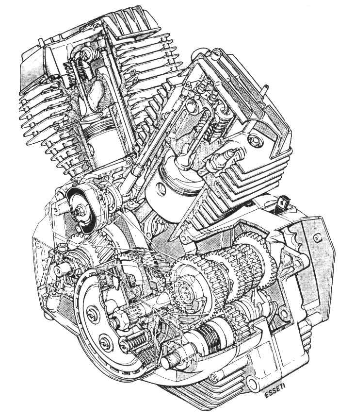350cc disegno