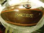 Avatar di Mosca17
