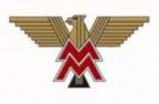 Avatar di Viking