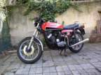 Avatar di Firenze51