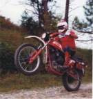 Avatar di ILVINCIO